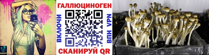 mega зеркало  Переславль-Залесский  Галлюциногенные грибы мицелий 